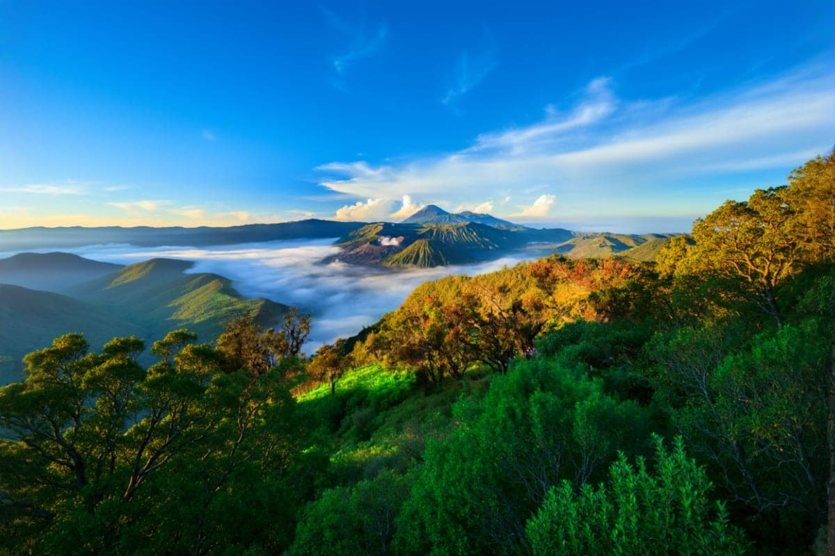 Mount Bromo Sunrise, Madakaripura Waterfall or Savannah Hills Tour