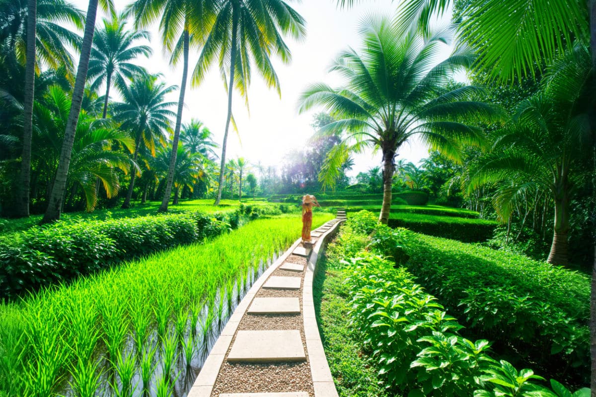 Bali Eat Pray Love Day Tour