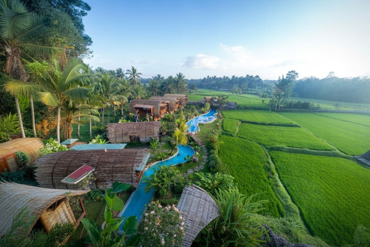 Dining Experience at Bee Cafe Ubud Bali
