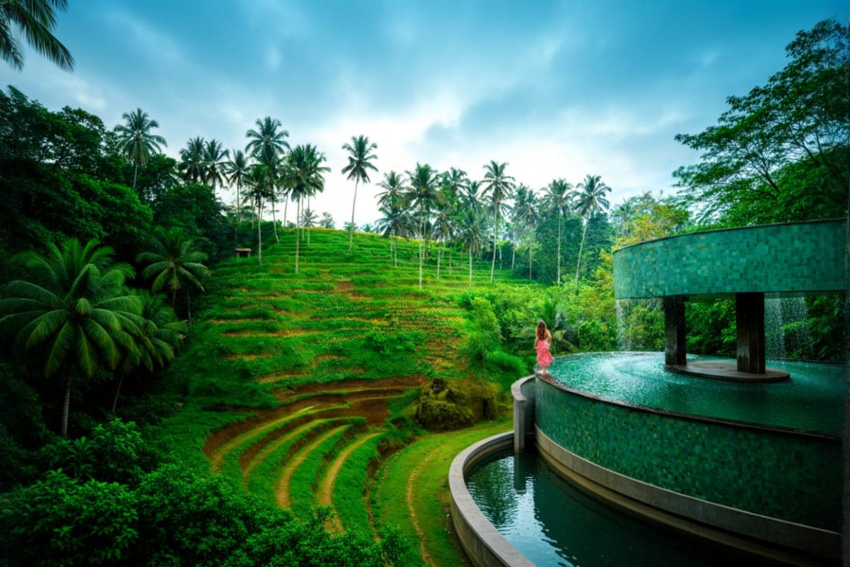 Ubud All Inclusive Private Day Tour