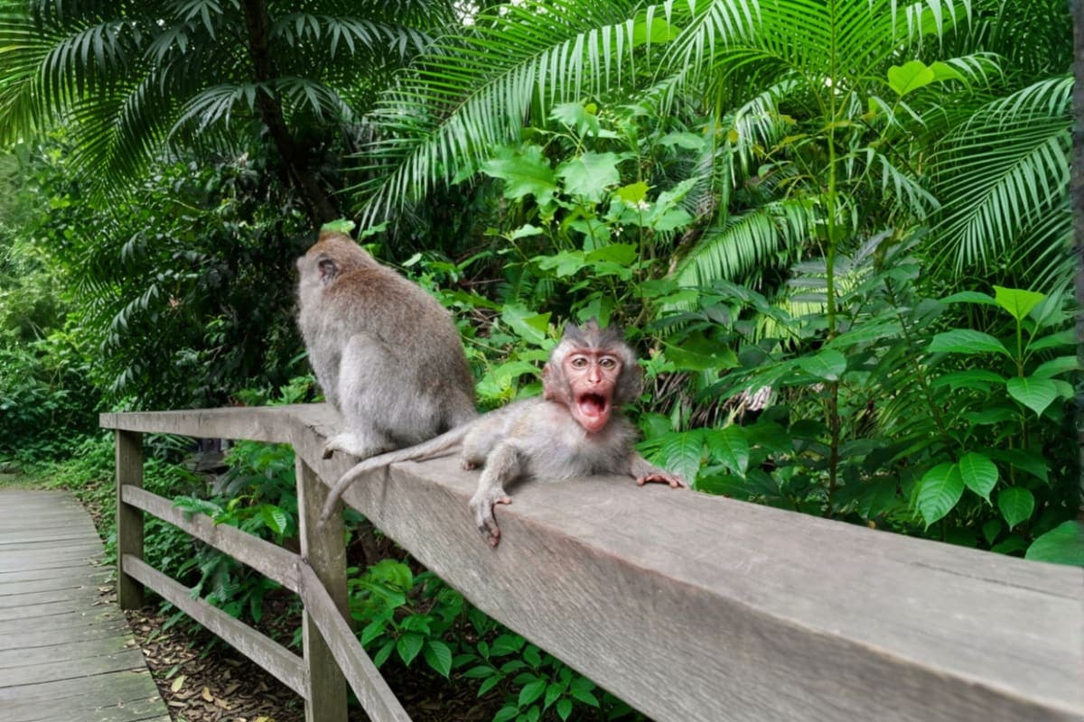 Ubud All Inclusive Private Day Tour