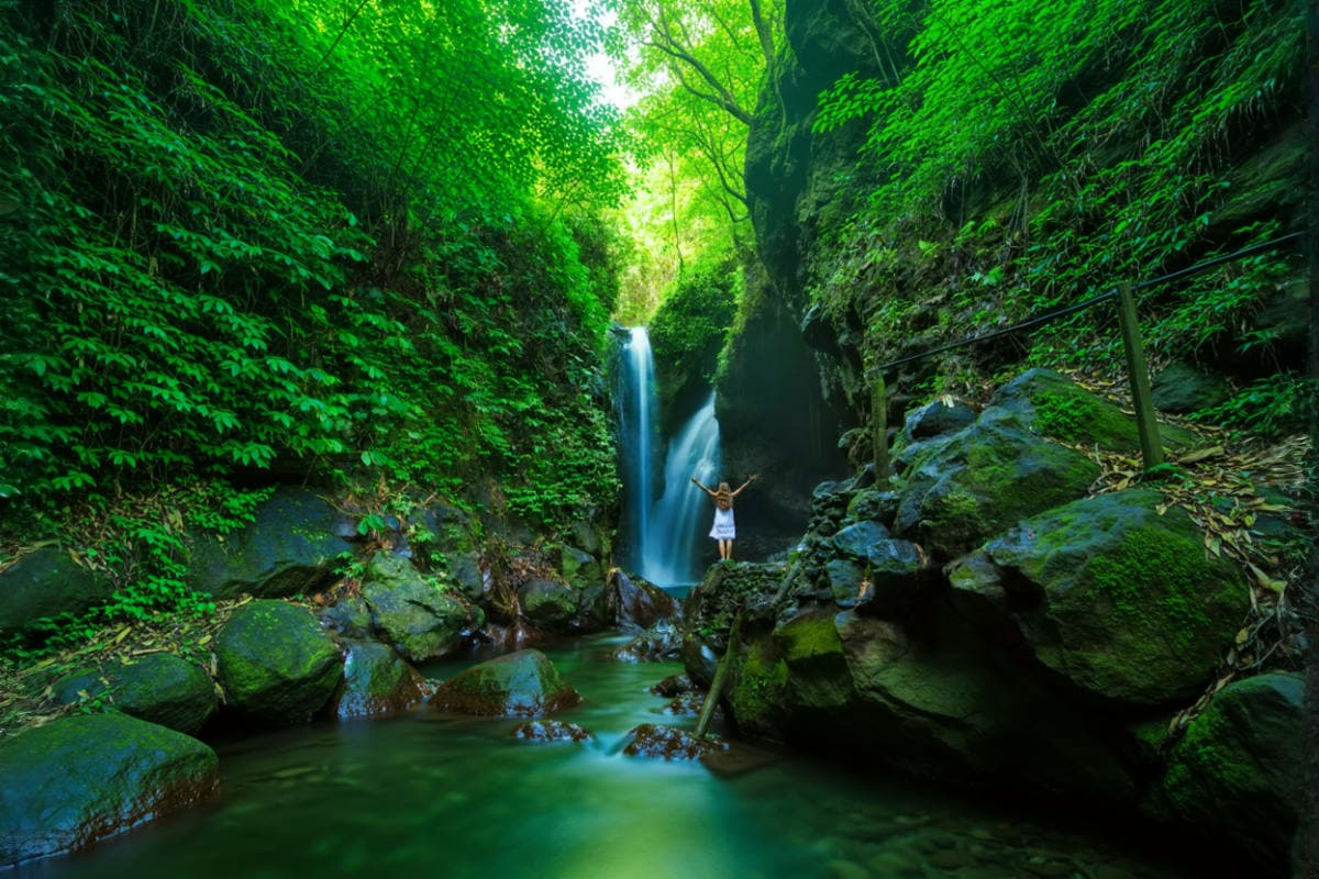 Bali Private Full Day Temple & Waterfall Tour