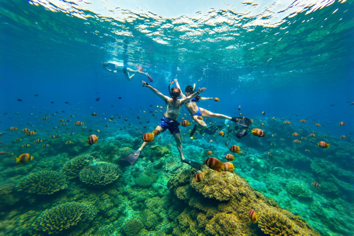 Nusa Penida Snorkeling & Land Tour by Premium Shared Speedboat