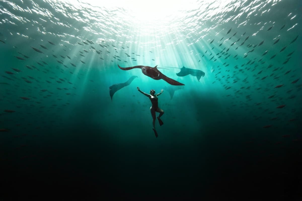 Nusa Penida Manta Ray Snorkeling Experience