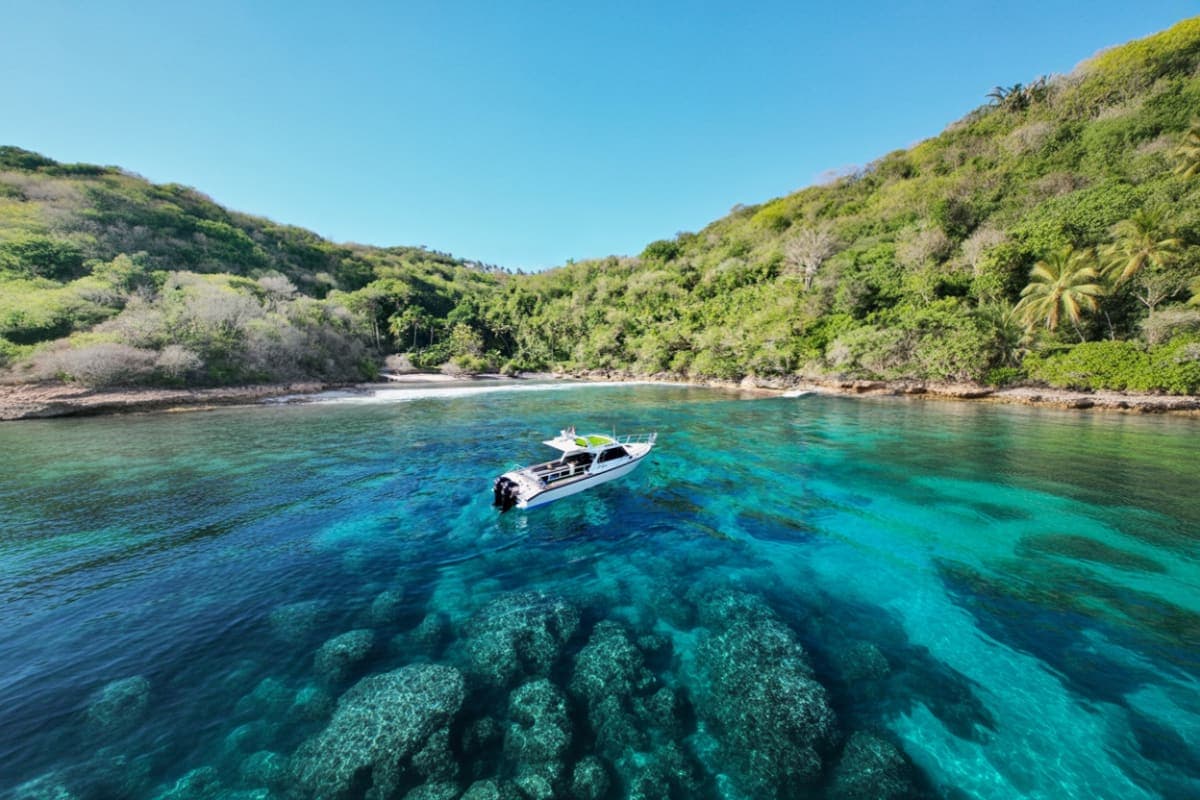 Nusa Penida Manta Ray Snorkeling Experience