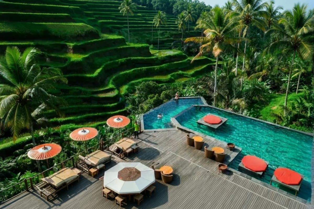 D'Tukad Coffee Club in Ubud Bali