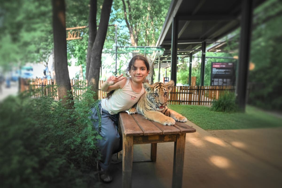 Tiger Kingdom Chiang Mai