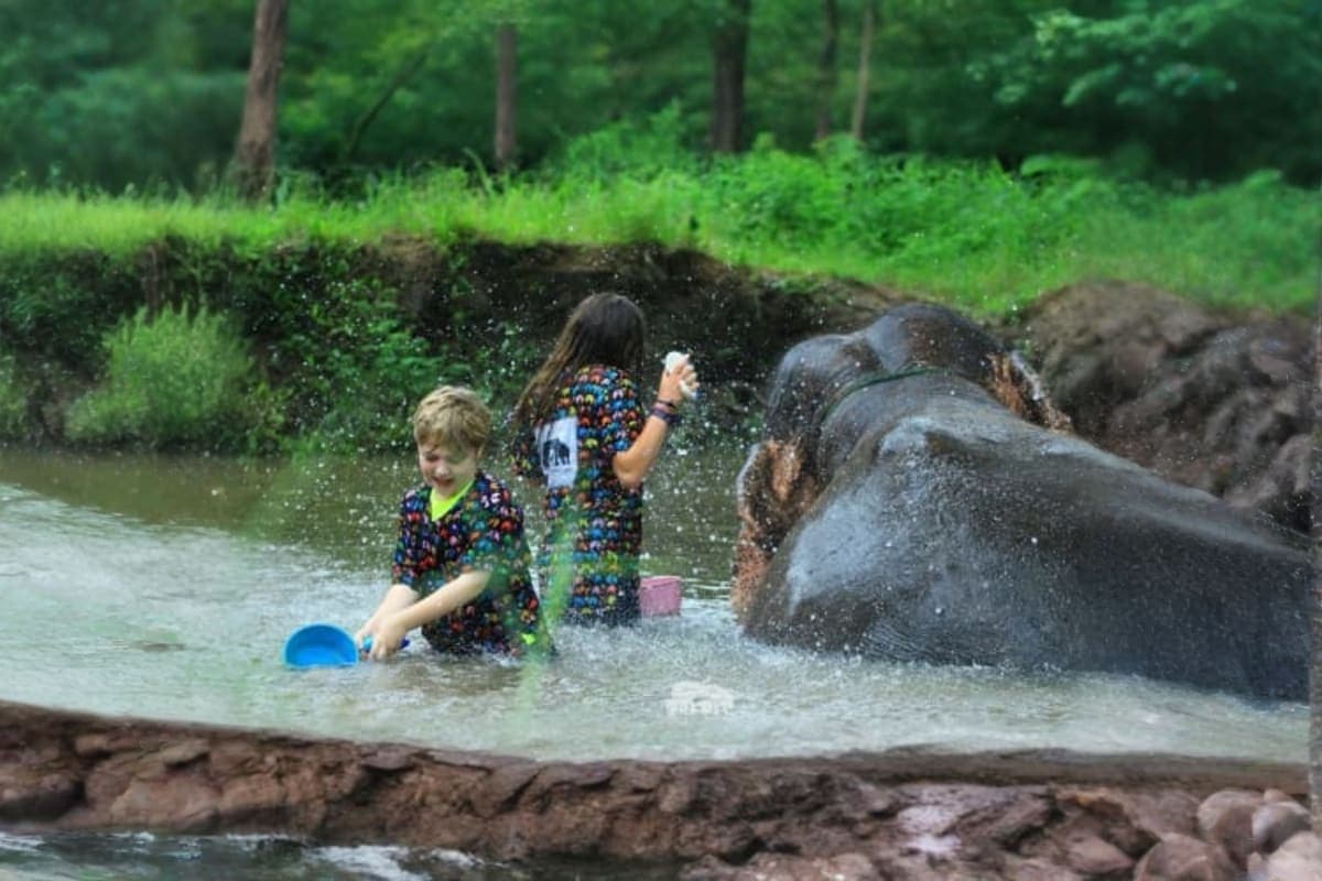 Kanta Elephant Sanctuary Half Day Visit