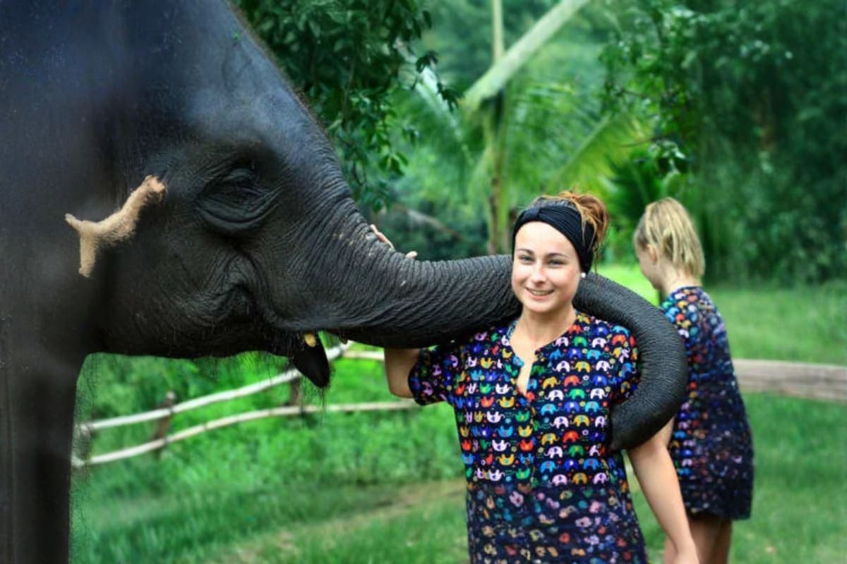 Kanta Elephant Sanctuary Full Day Visit