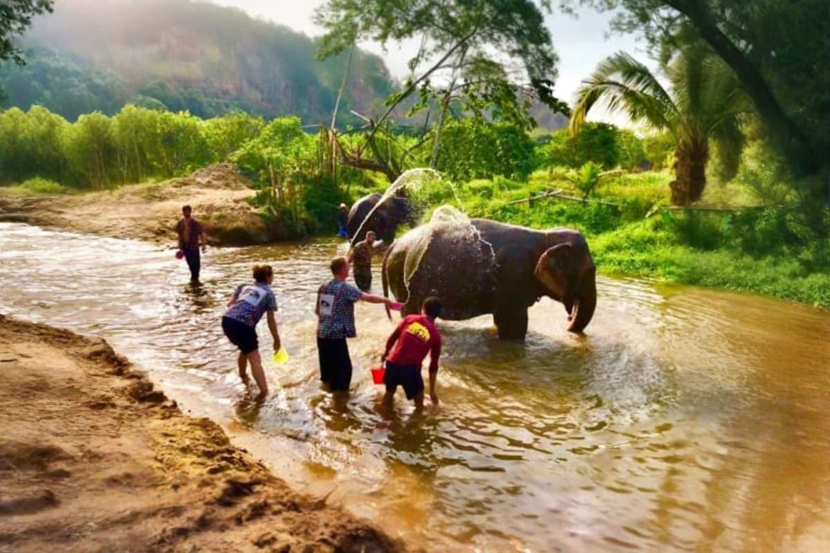 Kanta Elephant Sanctuary Full Day Visit