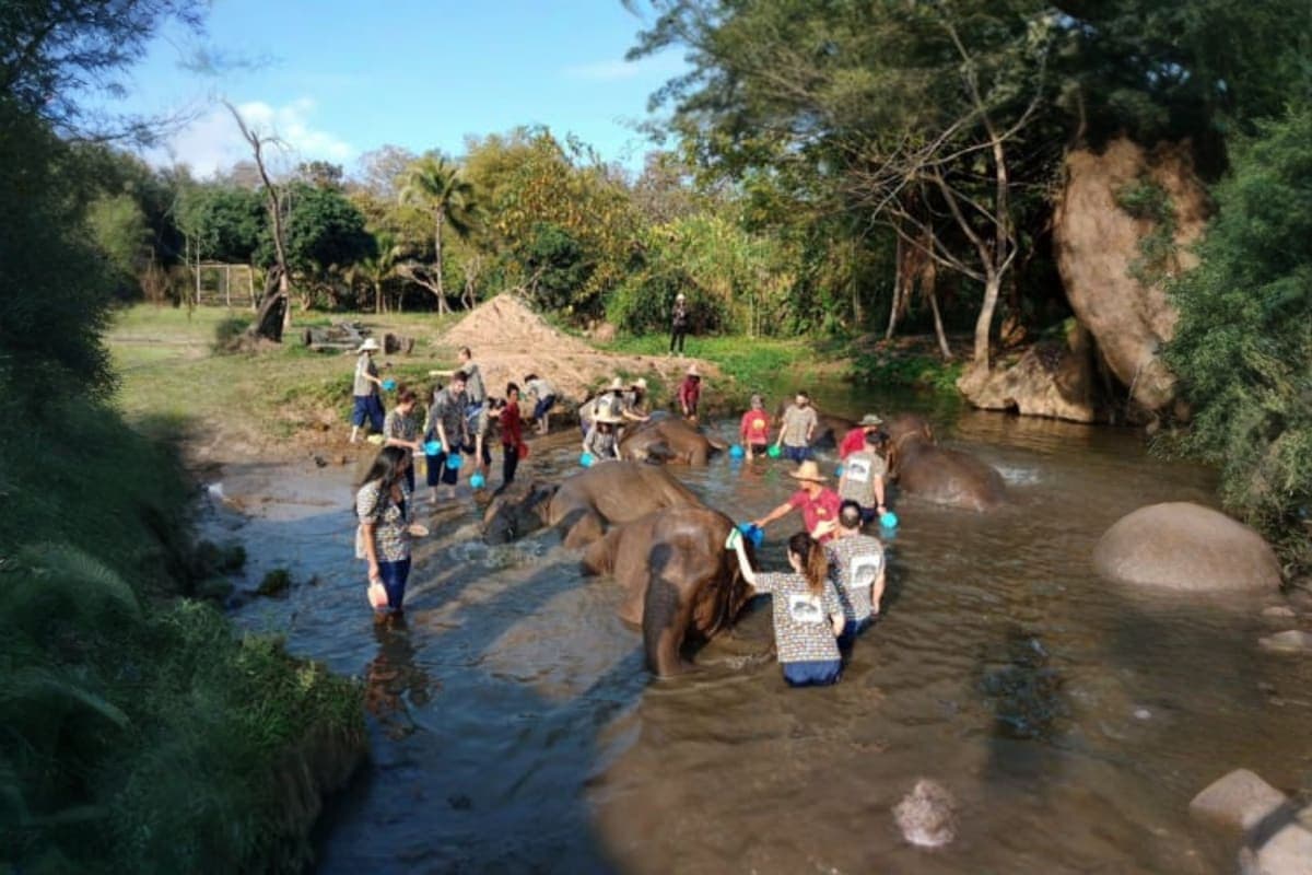 Kanta Elephant Sanctuary Full Day Visit