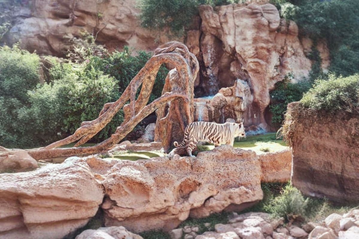 Khao Kheow Zoo