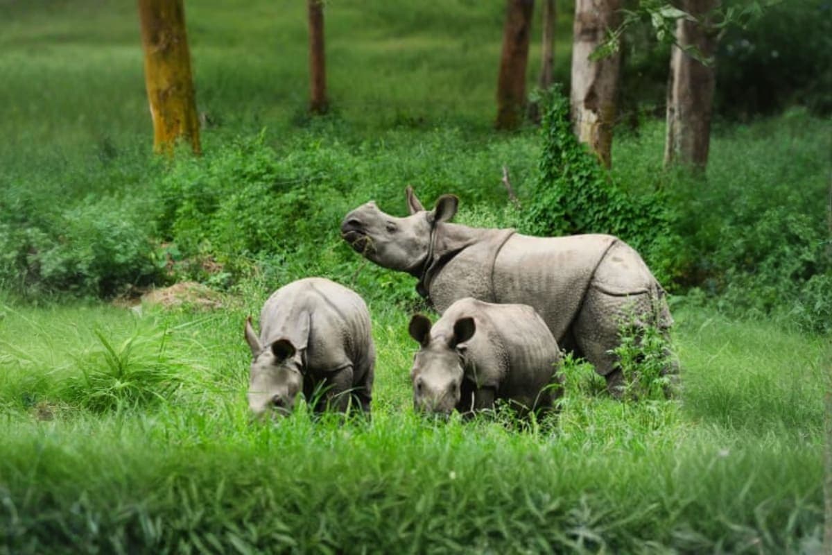 Khao Kheow Zoo