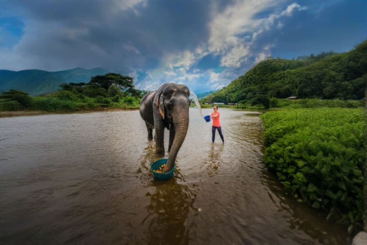Boon Lotts Elephant Sanctuary Full Day