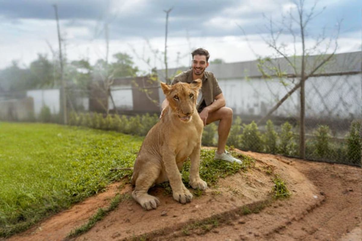 Lion Land