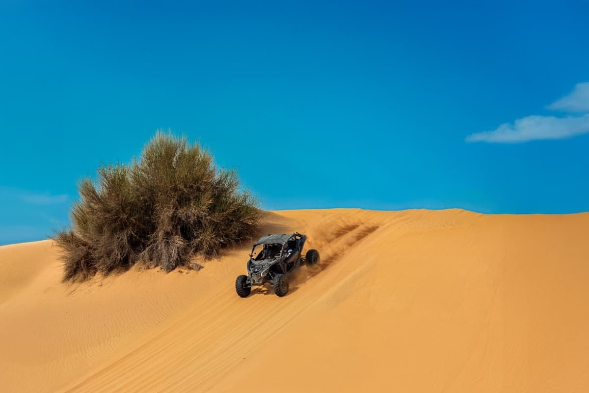 Can am
