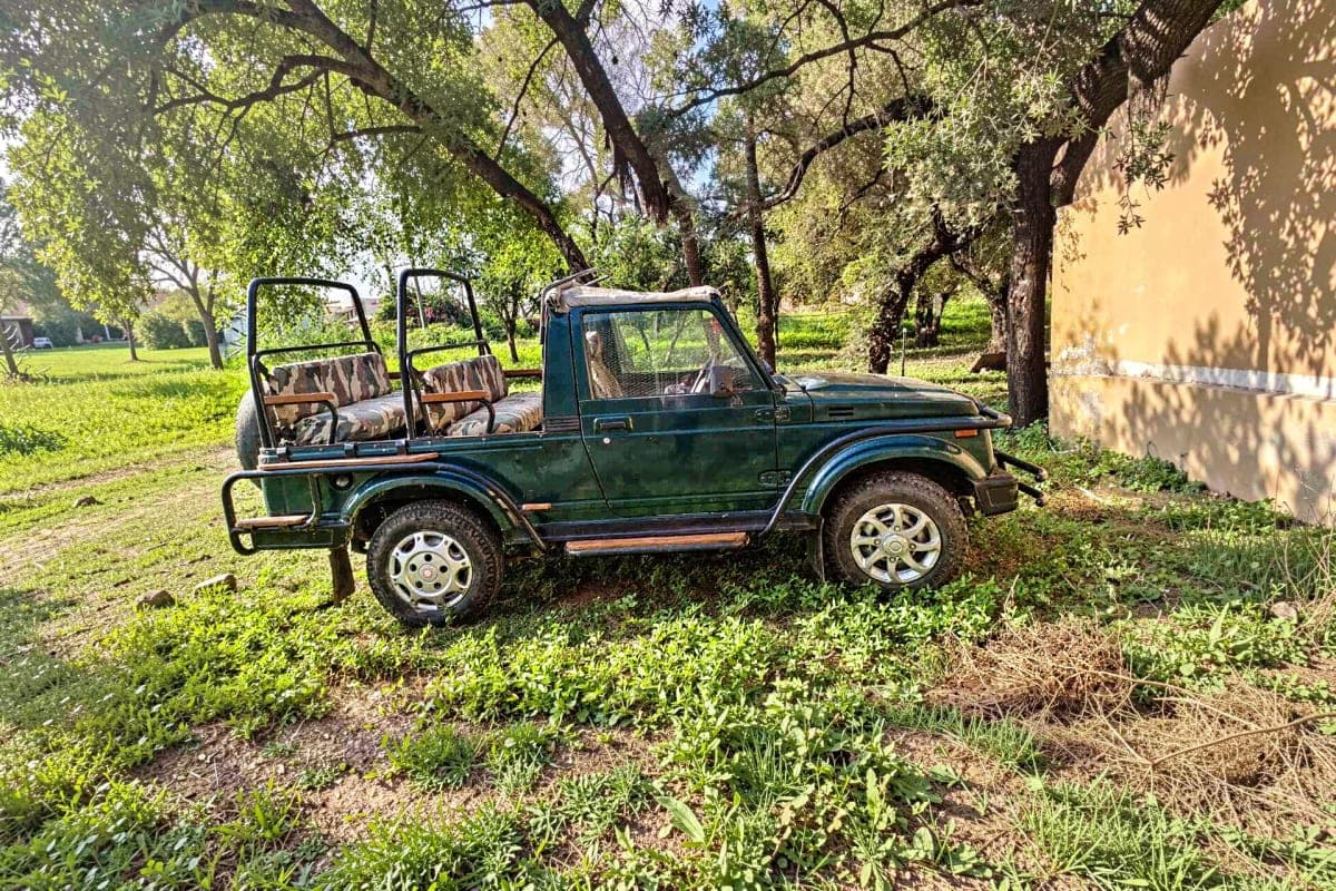 Jaipur Jhalana Exclusive Jeep Safari with Jaipur pick up drop off