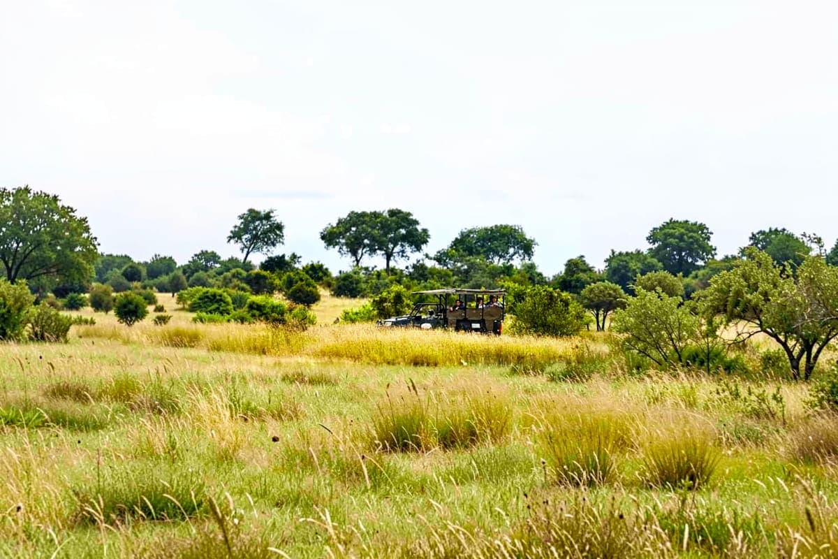 Jaipur Jhalana Exclusive Jeep Safari with Jaipur pick up drop off