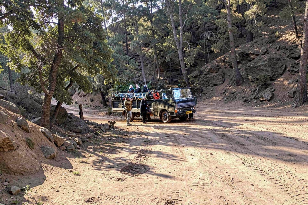 Shared safari in Ranthambore