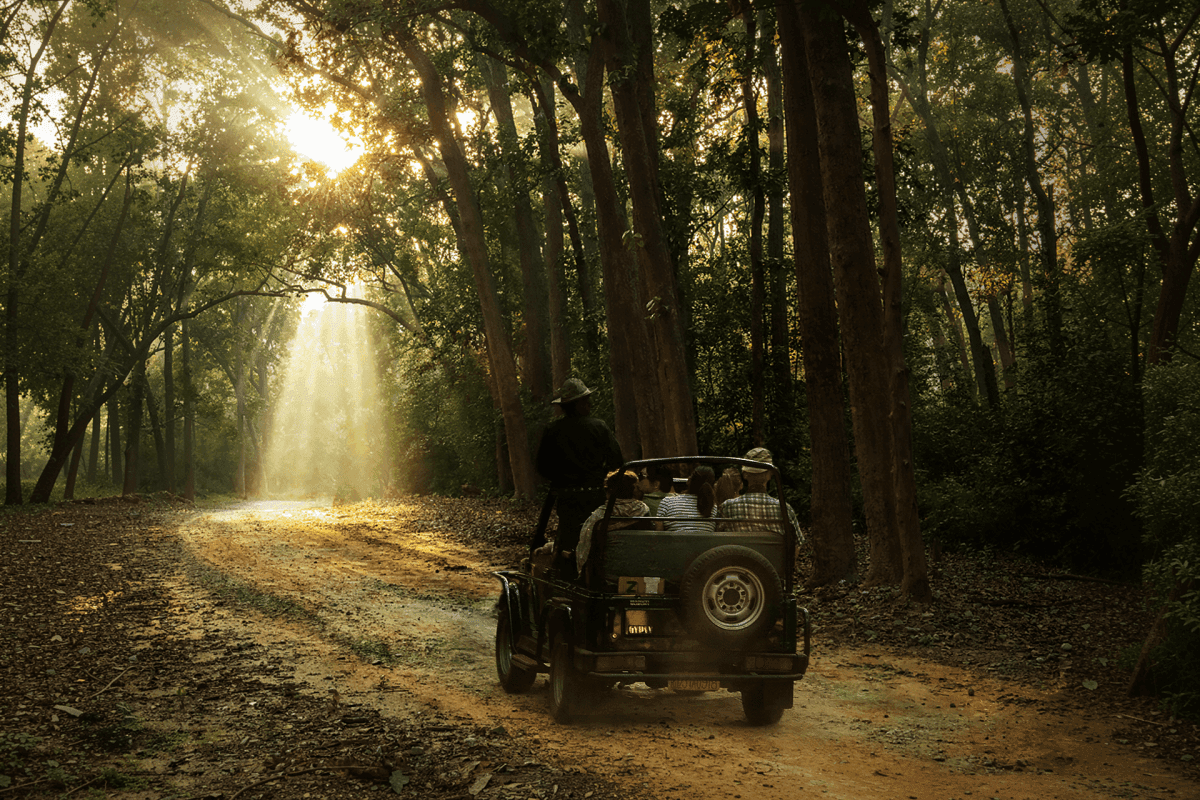 Exclusive Jeep Safari Indian