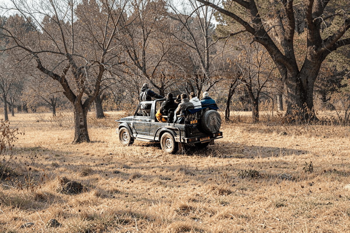 Exclusive Jeep Safari Indian