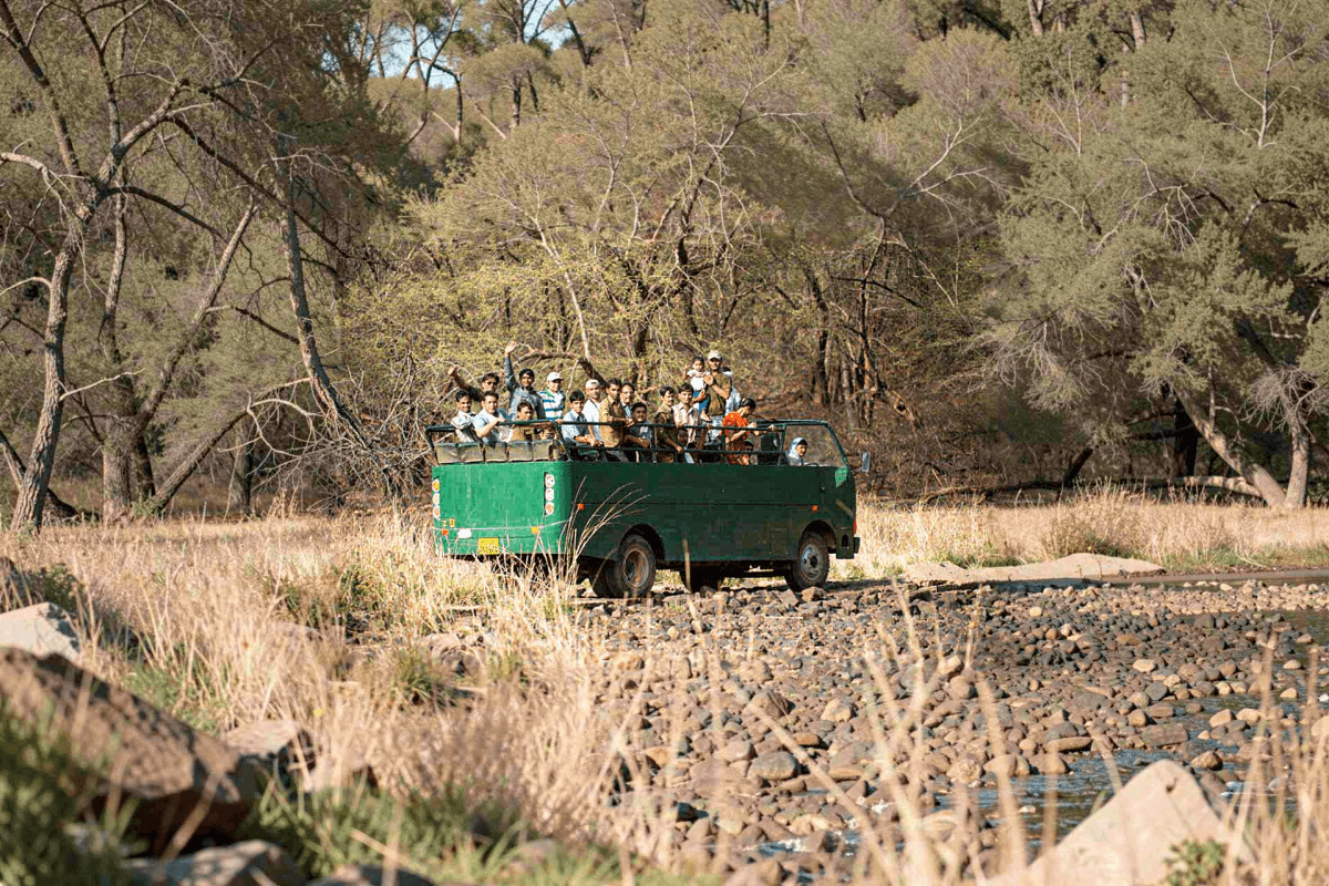 Canter Safari Indian