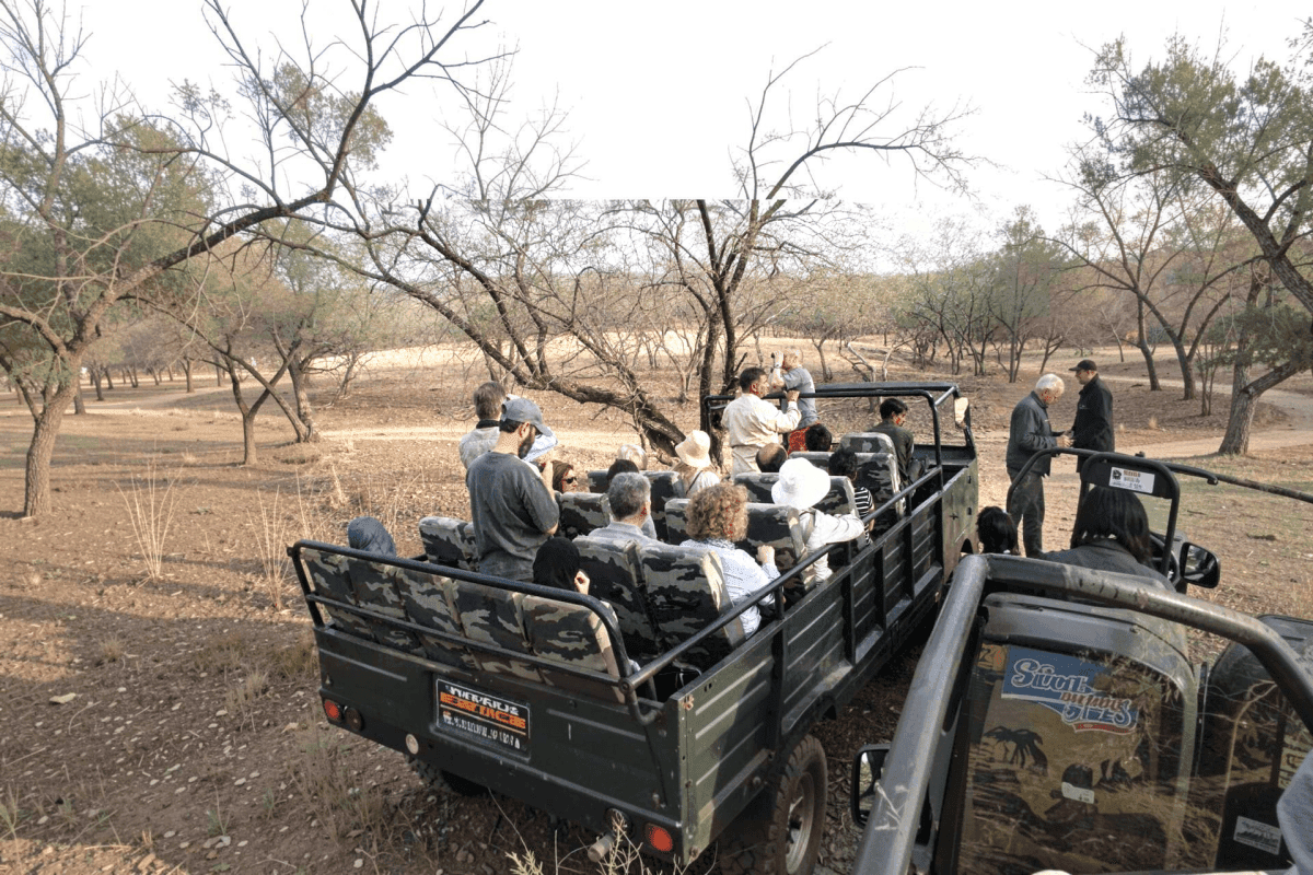 Canter Safari Indian