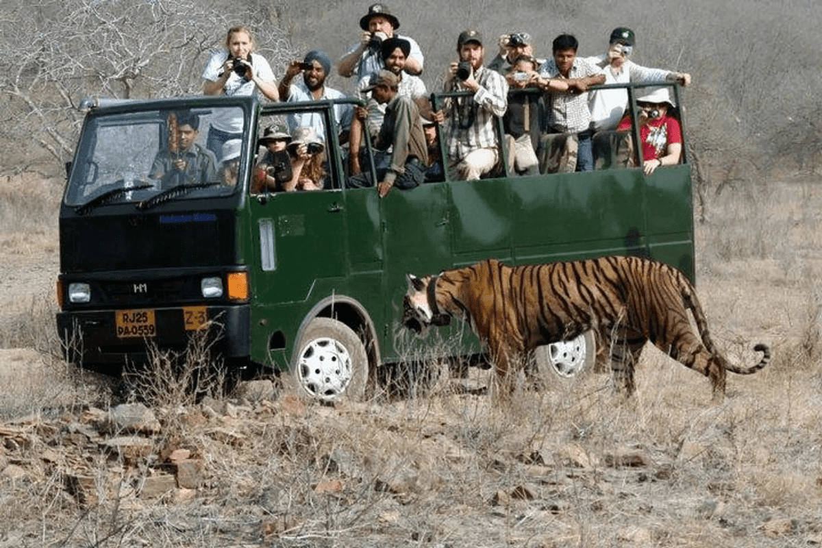 Ranthambore