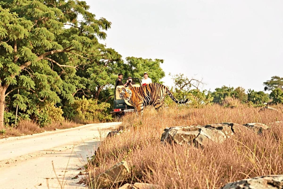 Tatkaal Jeep Safari in Ranthambore