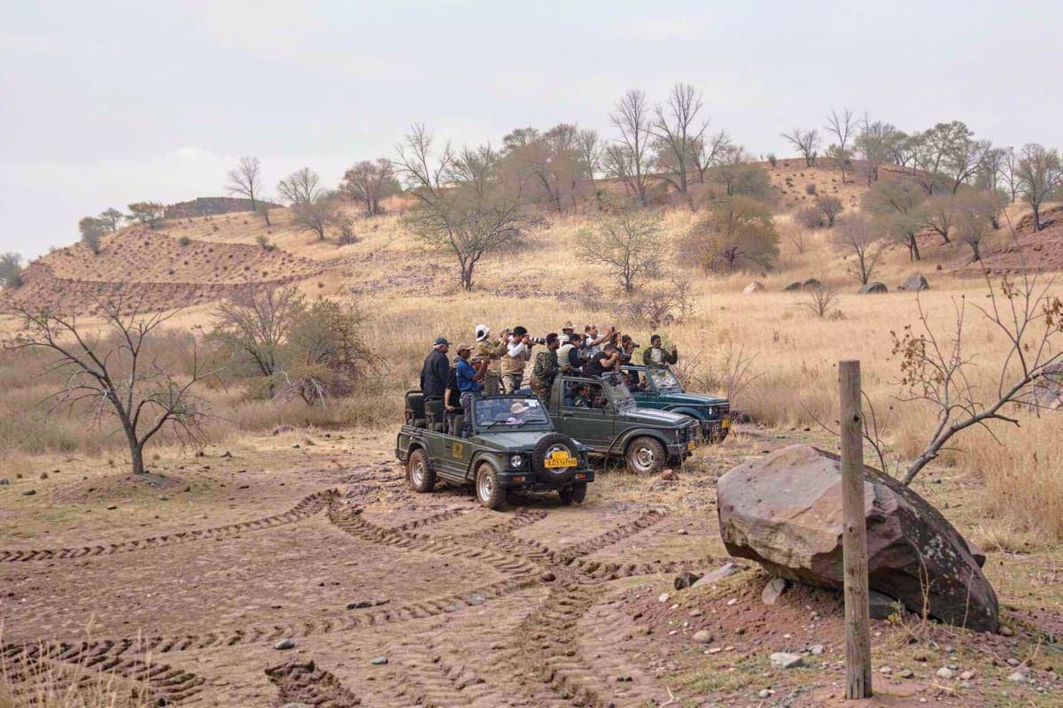 Tatkaal Jeep Safari in Ranthambore