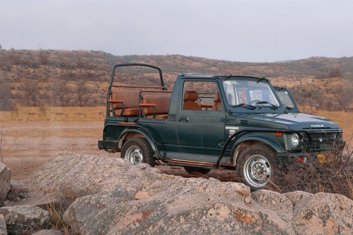 Tatkaal Jeep Safari in Ranthambore
