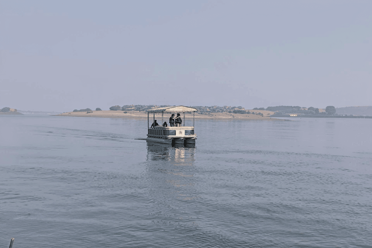 Chambal boat safari including Ranthambore to Palighat pickup and Drop