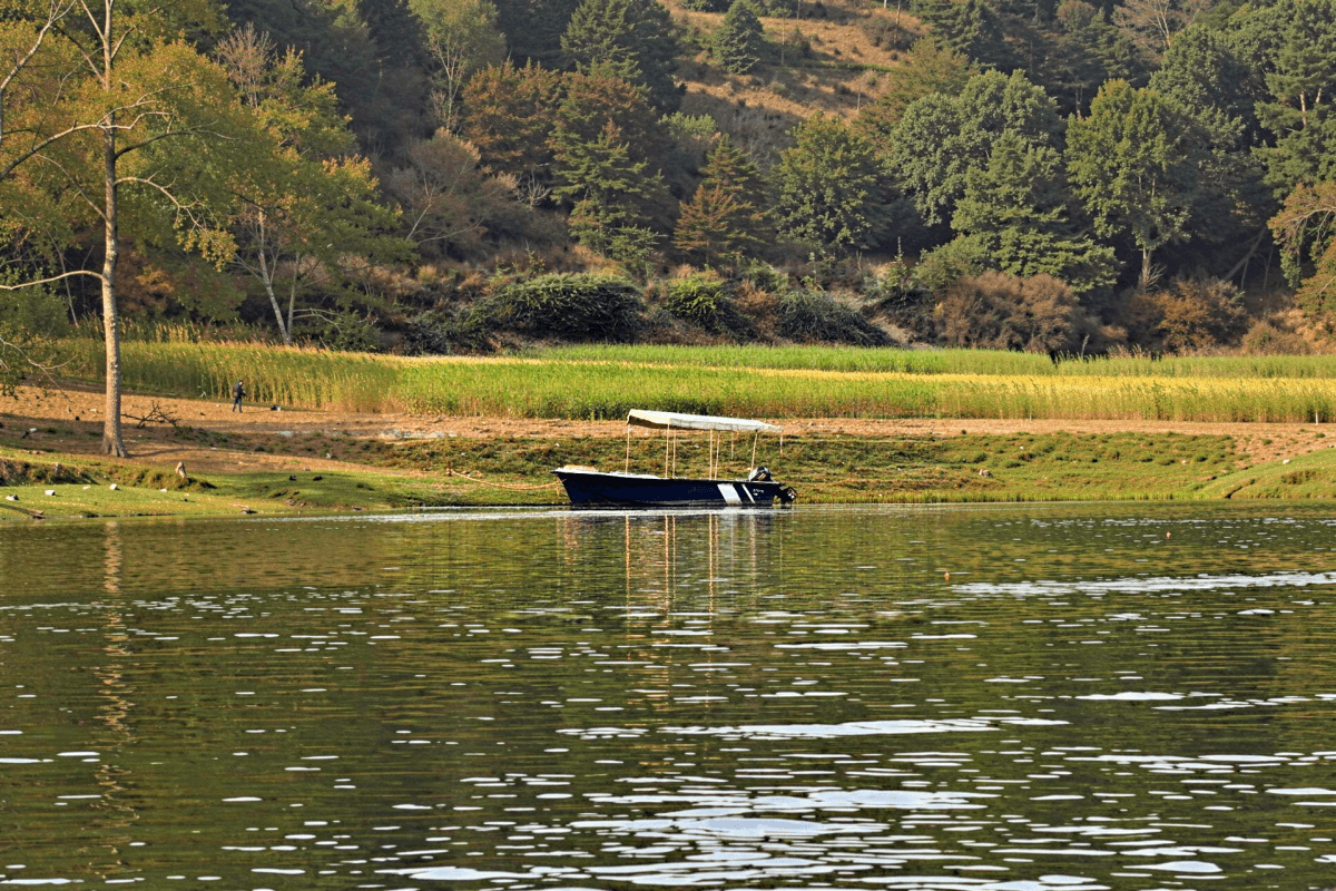 Chambal boat safari including Ranthambore to Palighat pickup and Drop