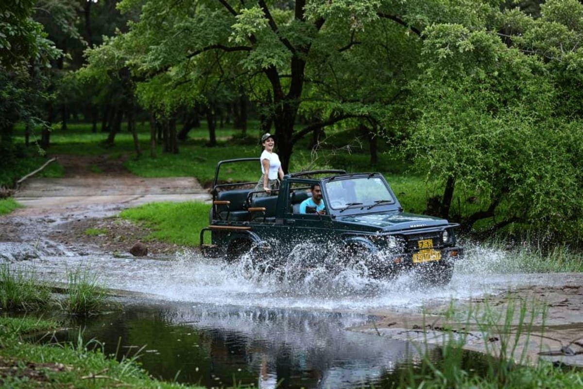 Exclusive Jeep Safari with Expert Tracker Ranthambore