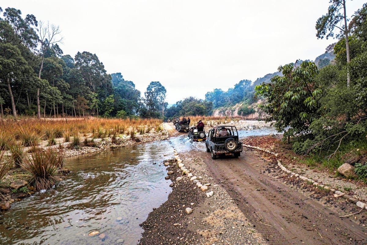 Exclusive Jeep Safari Non Dhikala Zones with pick up drop