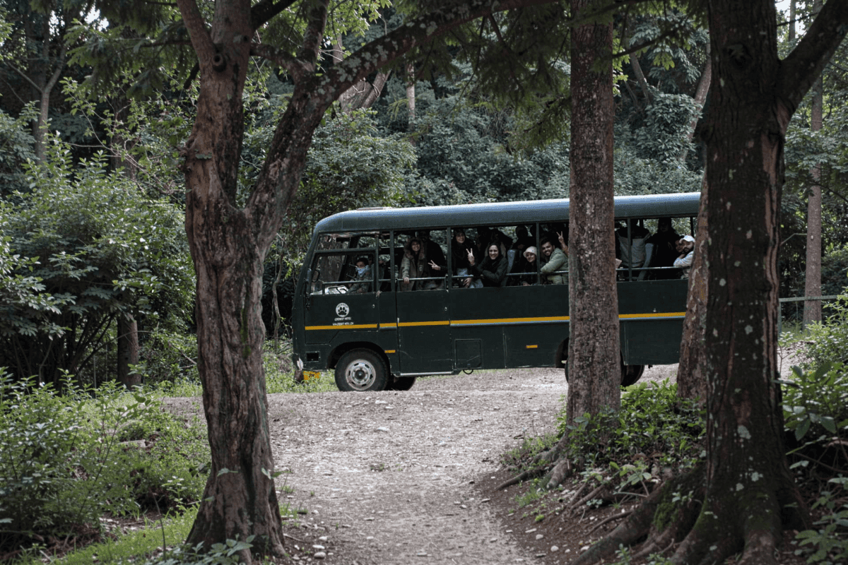 Canter safari at Dhikala