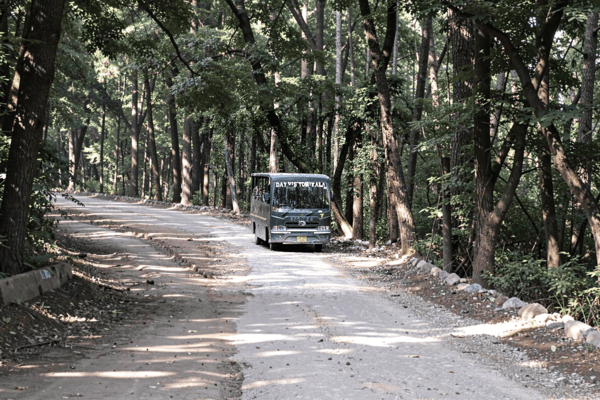 Canter safari at Dhikala