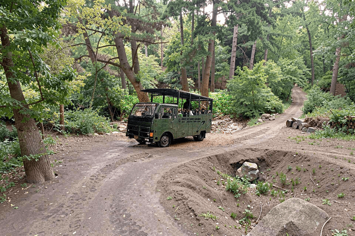 Canter safari at Dhikala