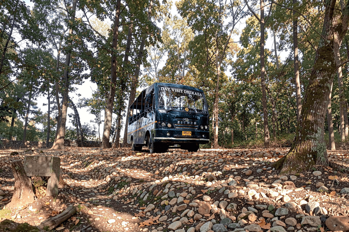 Canter safari at Dhikala