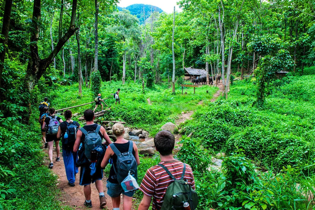 Bird Watching and Nature Walk in Corbett