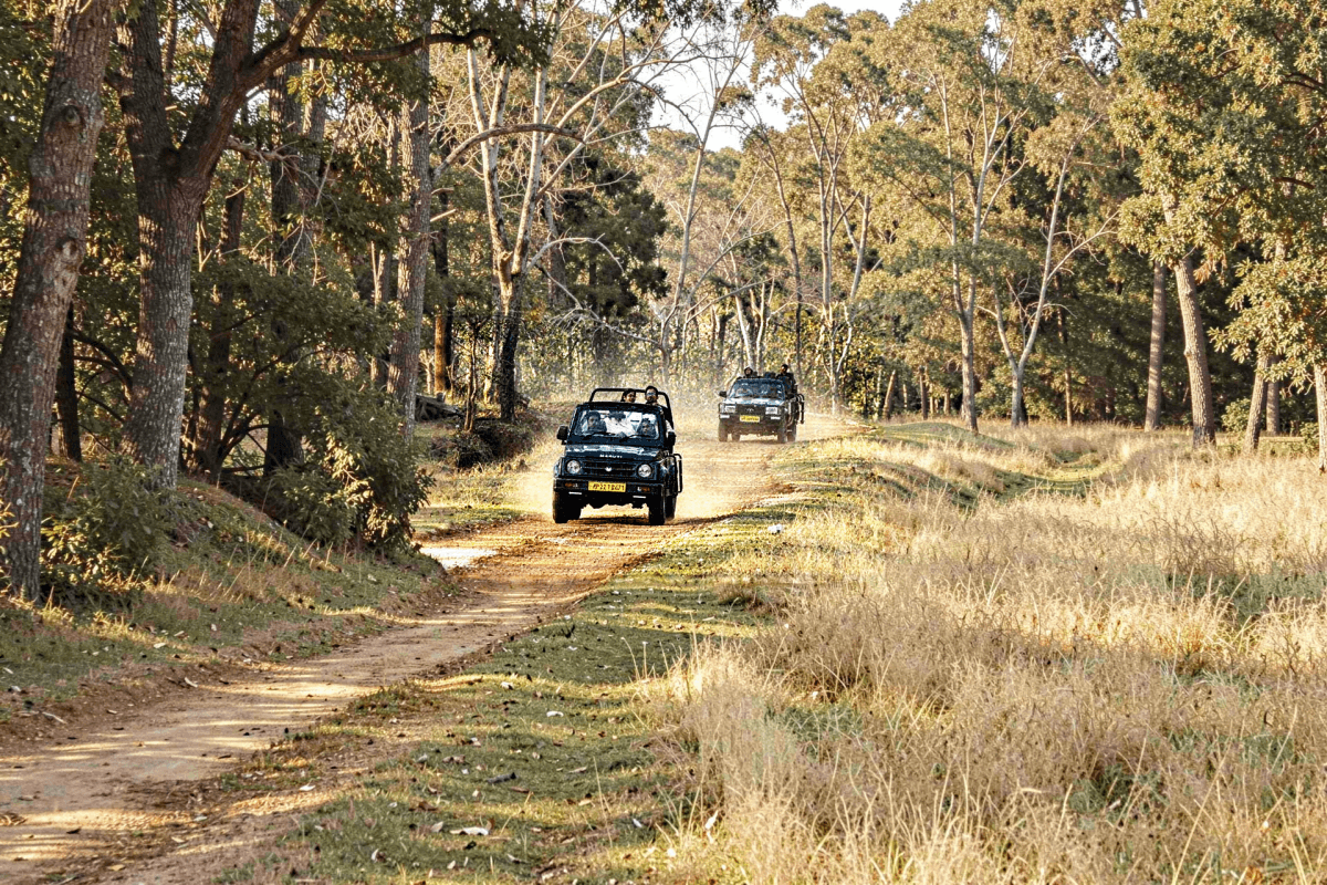 Exclusive Jeep Safari Buffer