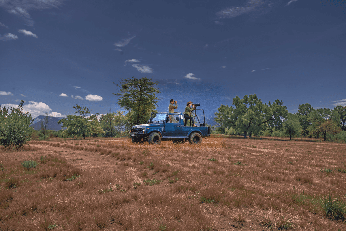 Exclusive Jeep Safari Buffer