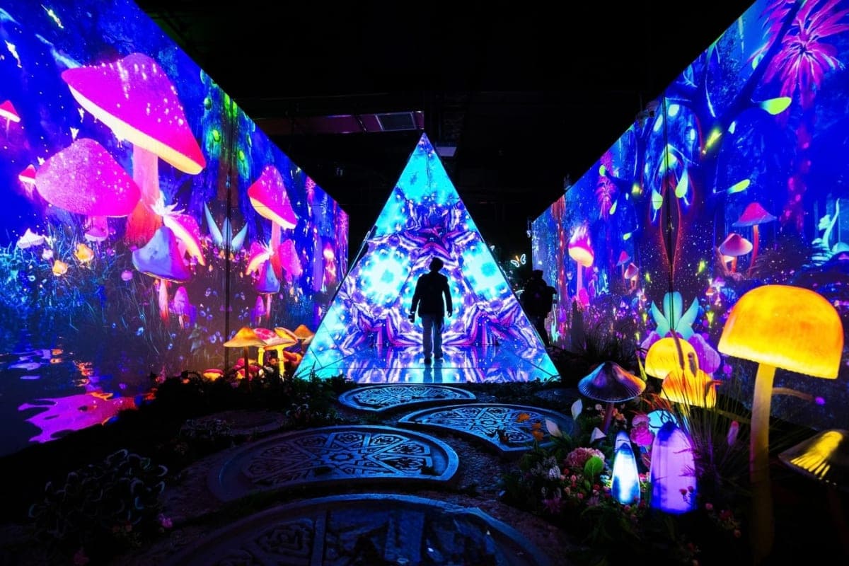 X Space Immersive with Digital Art experience