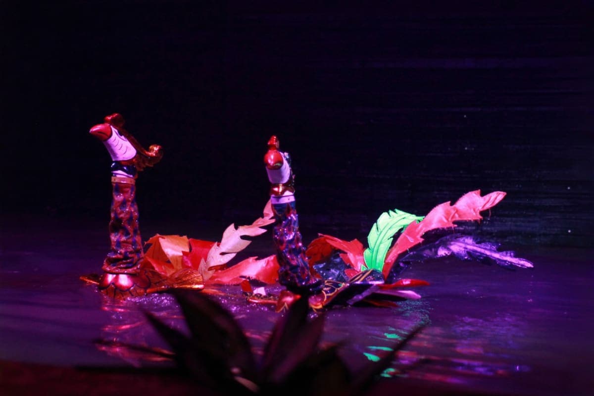 Lotus Water puppet show