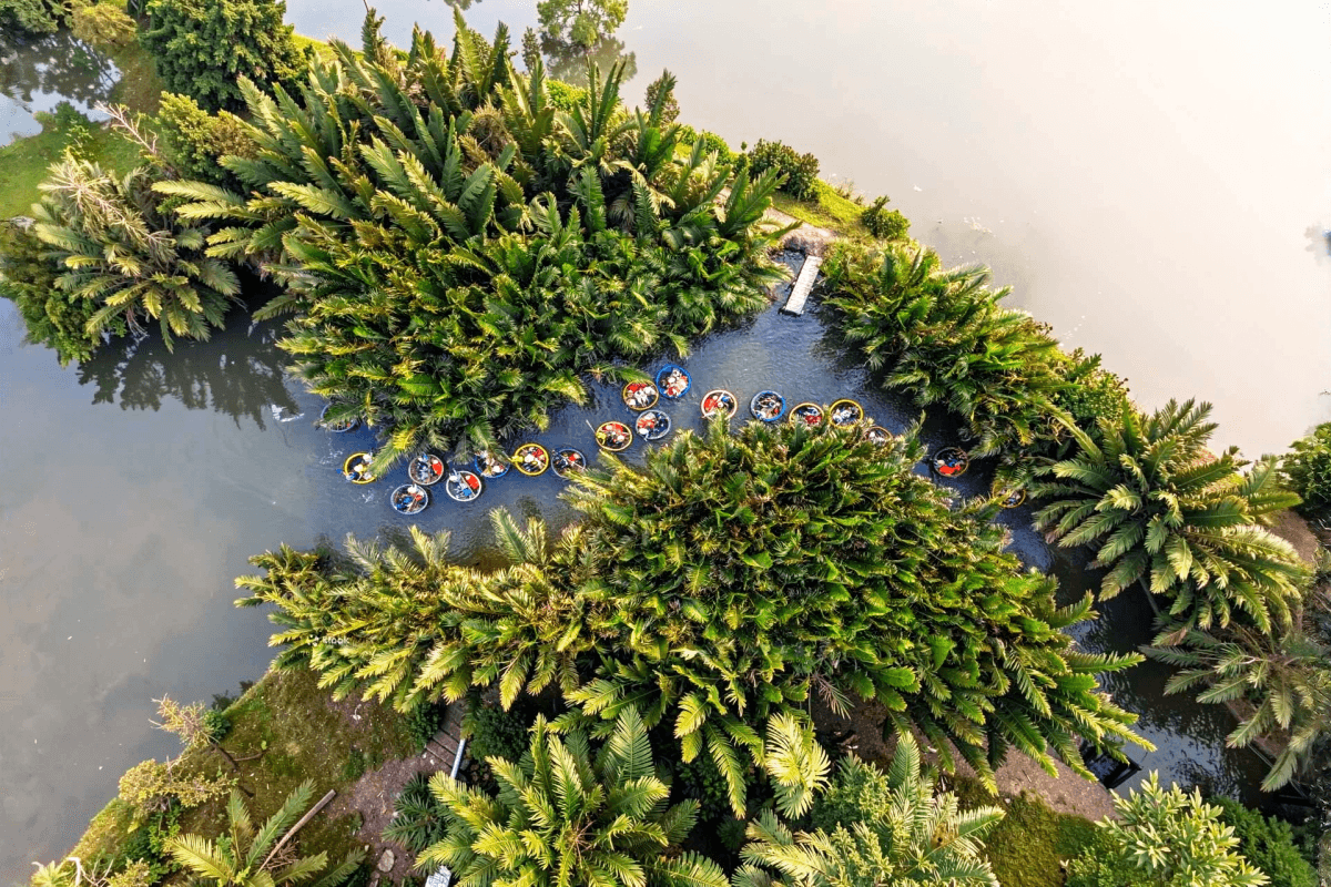 Bay Mau Coconut Forest