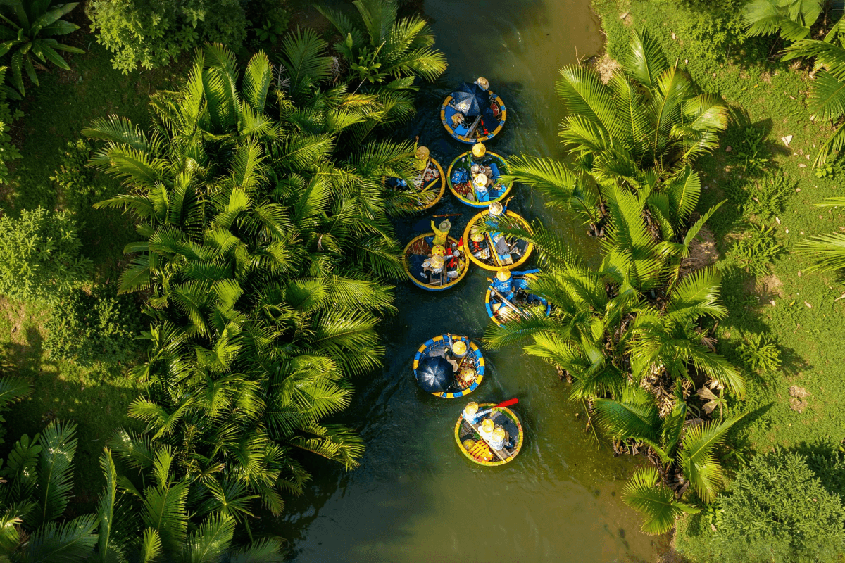 Bay Mau Coconut Forest