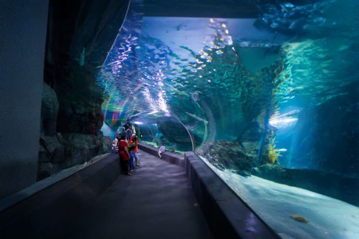 Sea Life Bangkok Ocean World