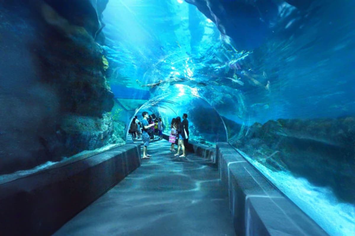 Sea Life Bangkok Ocean World