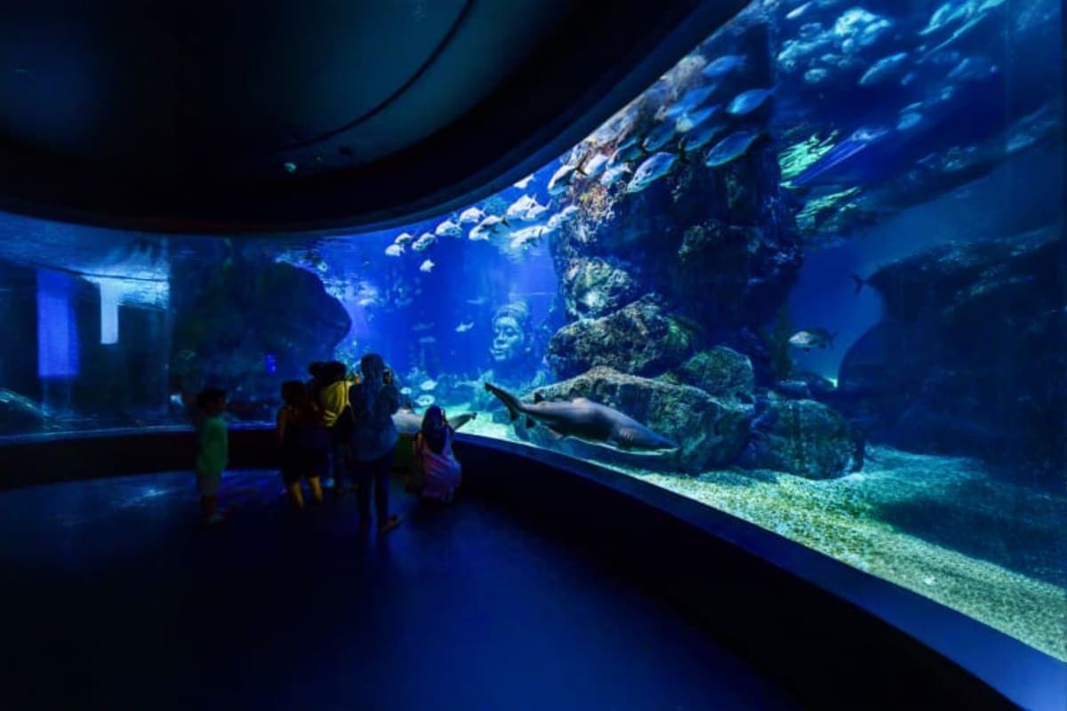 Sea Life Bangkok Ocean World