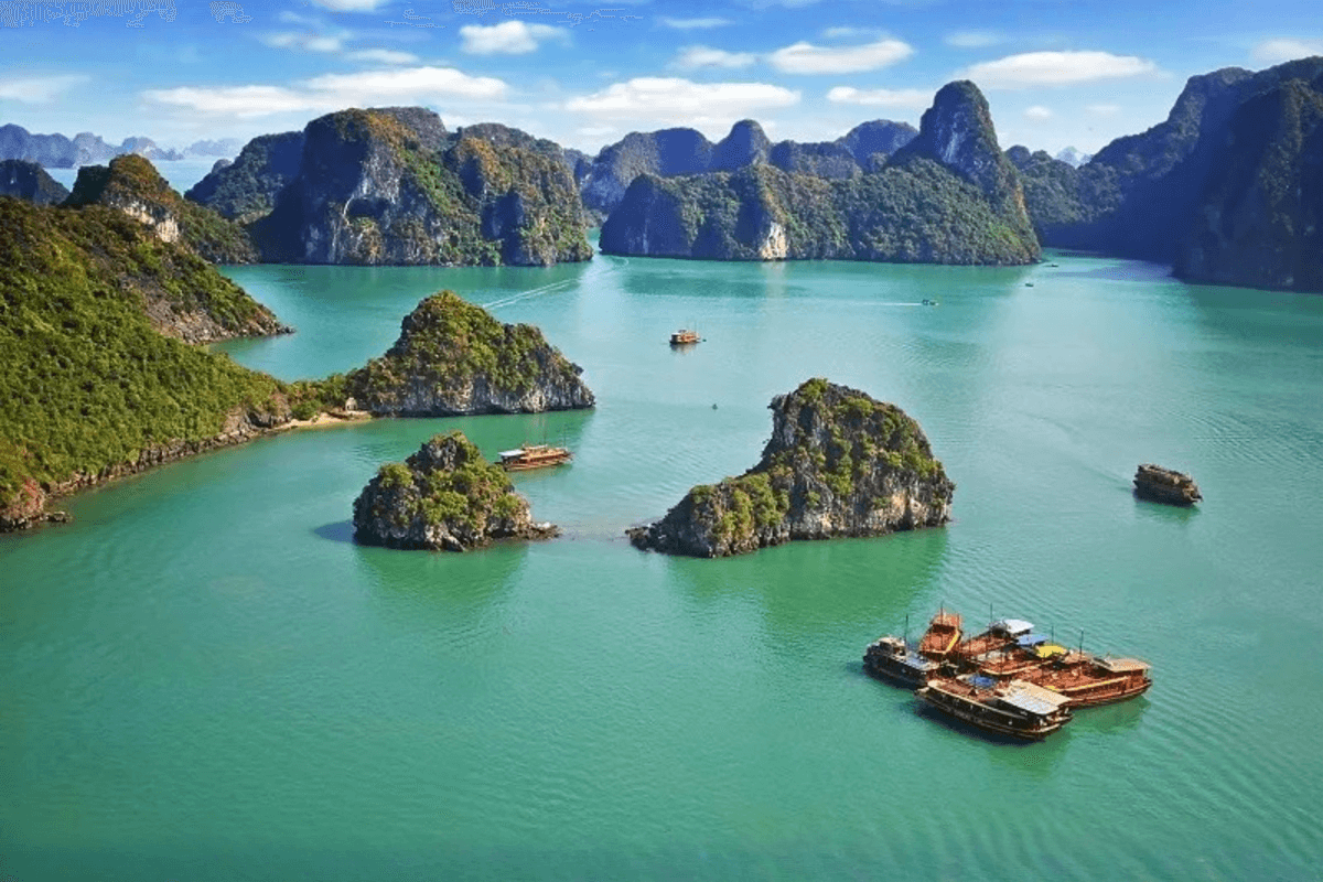Dolphin luxury cruise